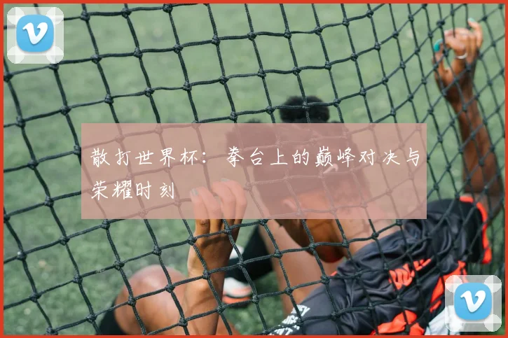 散打世界杯：拳台上的巅峰对决与荣耀时刻