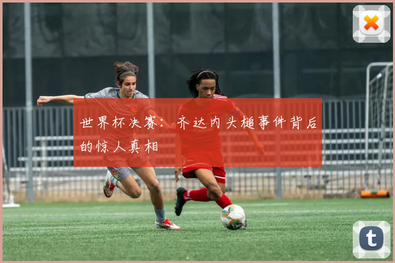 世界杯决赛：齐达内头槌事件背后的惊人真相