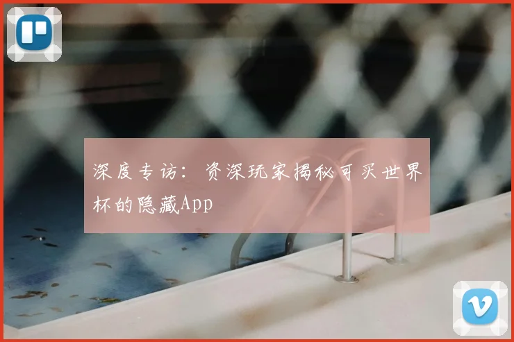 深度专访：资深玩家揭秘可买世界杯的隐藏App