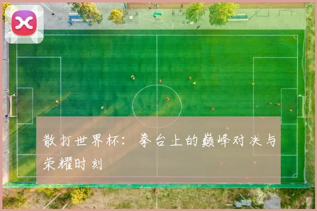 散打世界杯:拳台上的巅峰对决与荣耀时刻